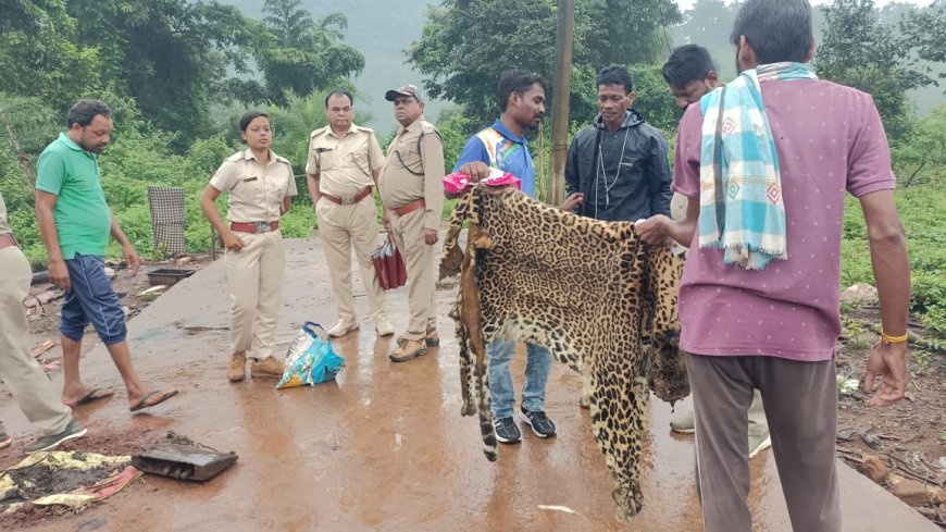 ।। ମୁନିଗୁଡ଼ା ରେଞ୍ଜ ବିଭାଗ କୁ ମିଳିଛି ବଡ ସଫଳତା:ମୁନିଗୁଡା ରେଞ୍ଜଠାରେ ବାଘ ଛାଲ ସହ ୨ ଦେଶି ବନ୍ଧୁକ ଜବତ, ଜଣେ ଗିରଫ୍ ।।