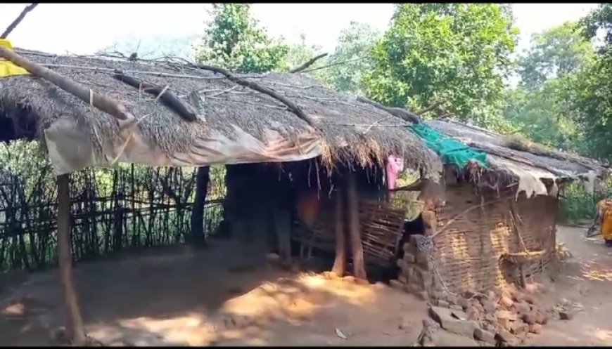 ।। ସରକାରୀ ଯୋଜନାରୁ ବଞ୍ଚିତ ଅଛନ୍ତି ବରିହାପଡାବାସୀ l।