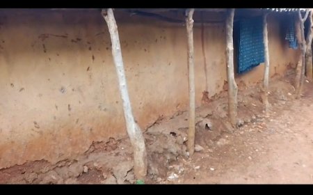 ।। ମୂଷା ଗାତ  ଭରା ଝାଟି ମାଟି କୁଡ଼ିଆରେ ବିତୁଛି  ସାତ ଜୀବନ ।।