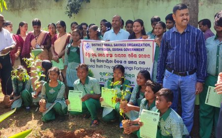 ।। ରାୟଗଡ଼ା ସ୍ୱଳ୍ପ ସଞ୍ଚୟ ସଂସ୍ଥା ଦ୍ୱାରା ବୃକ୍ଷରୋପଣ କାର୍ଯ୍ୟକ୍ରମ ।।