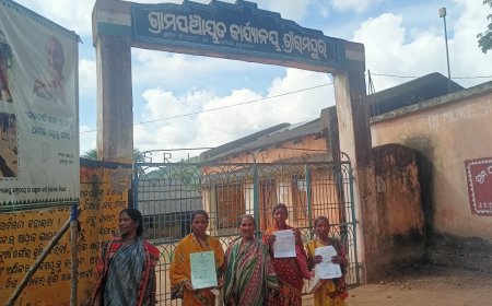 ।। ହରିଶ୍ଚନ୍ଦ୍ର ଯୋଜନା ଅର୍ଥ ପ୍ରଦାନରେ ବିଳମ୍ବ ଯୋଗୁଁ ଜନ ଅସନ୍ତୋଷ ବୃଦ୍ଧି : ତୁରନ୍ତ ପ୍ରଦାନ ପାଇଁ ଦାବୀ ।।