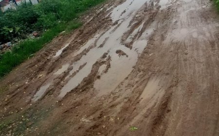 ।। 5T ସ୍କୁଲକୁ ରାସ୍ତା ନାହିଁ କି ପ୍ରଶାସନର ନଜର ନାହିଁ ।।