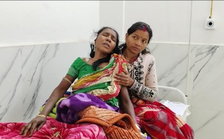 ।। ଭାଲୁ ଆତଙ୍କରେ ଆତଙ୍କିତ  ନୂଆପଡା  ସହର ।।