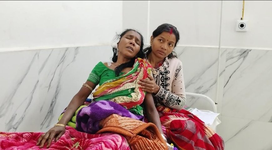 ।। ଭାଲୁ ଆତଙ୍କରେ ଆତଙ୍କିତ ନୂଆପଡା ସହର ।।