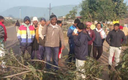 ।। ଆଜି ୧୨ ଘଣ୍ଟିଆ ରାୟଗଡା ଓ କାଶିପୁର ବନ୍ଦ ।।