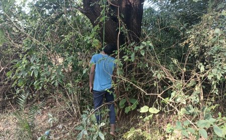 ।। ଝୁଲନ୍ତା ଅବସ୍ଥା ରେ ଯୁବକ ଙ୍କ ମୃତ ଦେହ ଉଦ୍ଧାର ।।