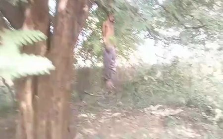 ।। କୋଟି ପତି ଠୀକାଦାର ଙ୍କ  ଘରେ  ଝୁଲୁଛି,ଶ୍ରୀ ପତି ଦାସ ଙ୍କ ମୃତ ଦେହ ।।