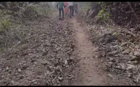 ।। ପଦାରେ ପଡିଲା ରାଜ୍ୟ ସରକାରଙ୍କ ମାକୁ ସମ୍ମାନର ନାରା, ଗାଁ କୁ ପଂହଁଚି ପାରିଲାନି ଆମ୍ବୁଲାନ୍ସ,3 କିଲୋମିଟର ବୋହି ବୋହି ନେଲେ ଆମ୍ବୁଲାନ୍ସ କର୍ମଚାରୀ ।।