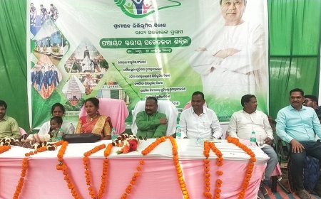 ।। ପେଟୁର ପଞ୍ଚାୟତ ରେ ମୋ ଓଡିଶା ନବୀନ ଓଡ଼ିଶା ଏବଂ ପଞ୍ଚାୟତ ସ୍ତରୀୟ ସଚେତନତା ଶିବିର କାର୍ଯ୍ୟକ୍ରମ ଅନୁଷ୍ଠିତ ।।