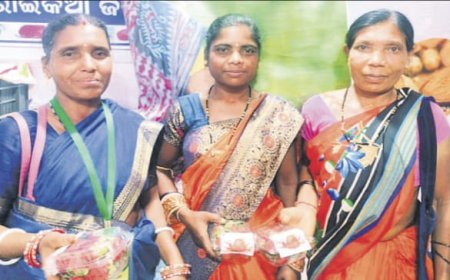 ।। ଭୁବନେଶ୍ୱର ଆଦିବାସୀ ମେଳାରେ କନ୍ଧମାଳ ଷ୍ଟ୍ରବେରି ର ଚାହିଦା ବୃଦ୍ଧି ।।