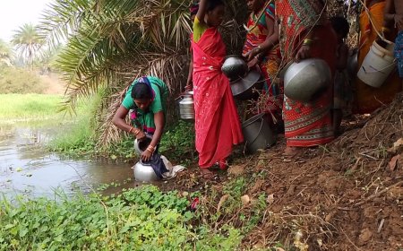 ।। ଯନ୍ତ୍ରୀ ଠିକାଦାର ଭାଙ୍ଗି ନେଇଗଲେ ପମ୍ପ ହାଉସ, ଚୁଆପାଣିକୁ ଭରସା କଲେ ଚେରଙ୍ଗପାଇ ଗ୍ରାମବାସୀ ।।