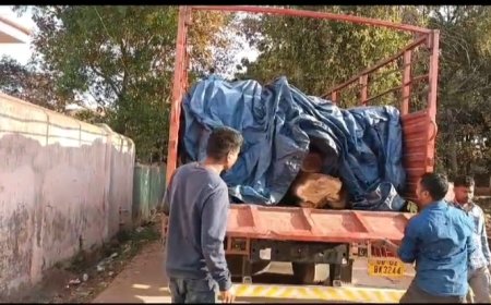 ।। ଦୁଇ ଅଭିଯୁକ୍ତ ସହ ସାତଲକ୍ଷ ଟଙ୍କାର କାଠ ଓ ଗାଡି ଜବତ କଲା ଟିକରି ବନ ବିଭାଗ ।।