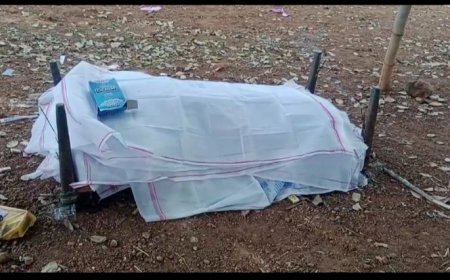 ।। ଜଙ୍ଗଲ ଭିତରେ ଠାବ ହେଲା ନିଖୋଜ ବୃଦ୍ଧଙ୍କ ମୃତ ଦେହ ।।