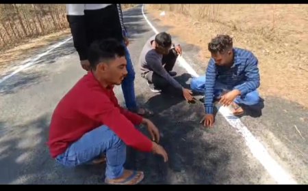 ।। ନିମ୍ନମାନର ପିଚୁ କାମ ନେଇ ଅଭିଯୋଗ ଆଣିଲେ ପୁକେଶ୍ ଗ୍ରାମବାସୀ ।।