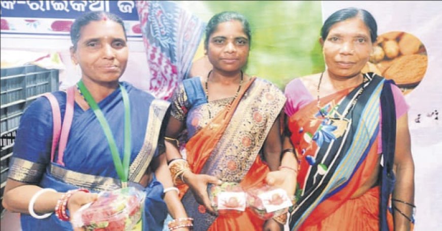 ।। ଭୁବନେଶ୍ୱର ଆଦିବାସୀ ମେଳାରେ କନ୍ଧମାଳ ଷ୍ଟ୍ରବେରି ର ଚାହିଦା ବୃଦ୍ଧି ।।