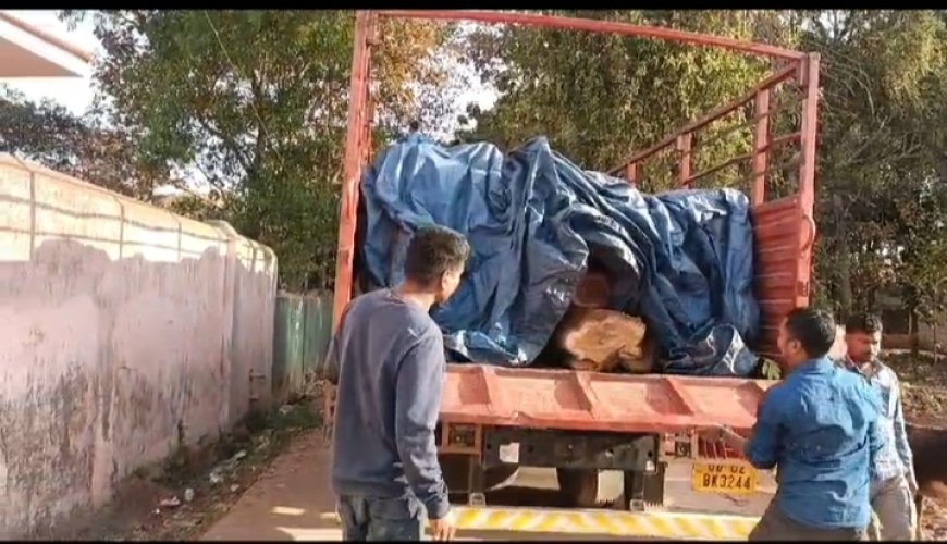 ।। ଦୁଇ ଅଭିଯୁକ୍ତ ସହ ସାତଲକ୍ଷ ଟଙ୍କାର କାଠ ଓ ଗାଡି ଜବତ କଲା ଟିକରି ବନ ବିଭାଗ ।।