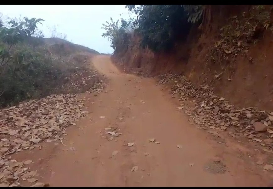 ।। ନିଦବସା ନଦୀ ସ୍ଥାନ ରେ ବ୍ରିଜ କେବେ ହେବ ।।
