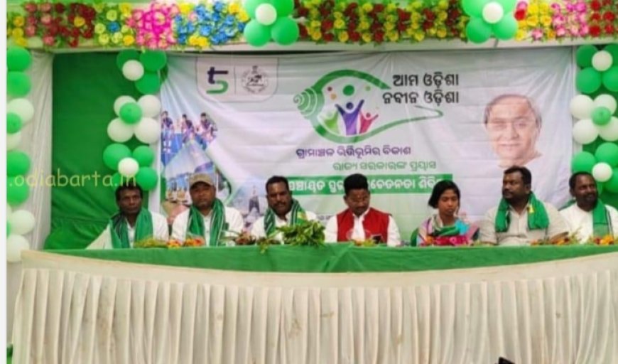 ।। ମାଳିଗାଁରେ ପଞ୍ଚାୟତ ସ୍ତରୀୟ ସଚେତନତା କାର୍ଯ୍ୟକ୍ରମ’ଆମ ଓଡିଶା ନବୀନ ଓଡିଶା’ ଅନୁଷ୍ଠିତ ।।