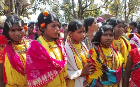 ।। 52ଟି ଗ୍ରାମ ବାସୀ ମିଳିତ ଭାବେ ତିଜି ମାଳିରେ  ପର୍ବ ପାଳନ ।।