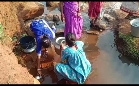 ।। ଅବ୍ୟବସ୍ଥା ଘେରରେ ଜୀବନ ବିତାଇବାକୁ ବାଧ୍ୟ ହେଉଛନ୍ତି  ତାରାପଦର  ଗ୍ରାମବାସୀ  ।।