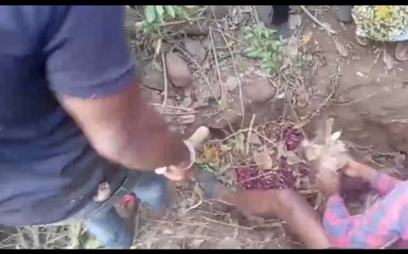 ।। ପୂର୍ବତନ ସରପଞ୍ଚ ଙ୍କୁ ହତ୍ୟା ।।