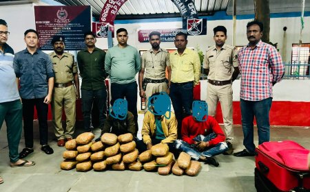 ।। ଅବକାରୀ ବିଭାଗ ଏବଂ ରେଲୱେ ଆର,ପି,ଏଫ ପକ୍ଷରୁ ୨୬ କେଜି ୩୩୦ଗ୍ରାମ ଗଞ୍ଜେଇ ଜବତ ସହିତ ୩  ଅନ୍ତରାଜ୍ୟ ଚୋର ଗିରଫ ।।