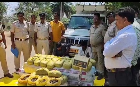 ।। ତୁଷୁରା ପୋଲିସ କୁ ବଡ଼ ସଫଳତା:୧ କୁଇଣ୍ଟାଲ ୫୨ କେଜି ୯୪୫ ଗ୍ରାମ ଗଞ୍ଜେଇ ସହ ୨ ଗିରଫ ।।