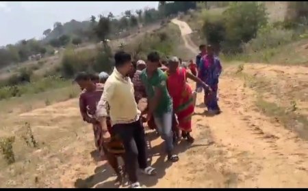 ।। ରାଜ୍ୟ ସରକାର ଖାଲି ବିକାସ ନାରେ ଡିମ ଡିମା,ପିଟୁଛନ୍ତି, ଗର୍ଭବତୀ ମହିଳା ଙ୍କୁ ବୁହା ହେଲା,୨ - କିଲୋମିଟର,ପୁଣି ଜନନୀ ଯନ୍ତ୍ରଣା