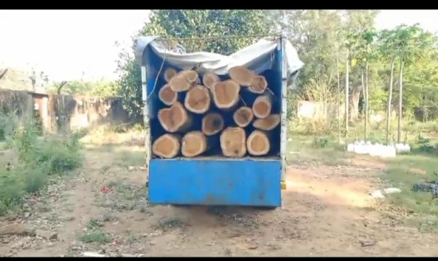 ।। ହରିଶଙ୍କର ବନ ବିଭାଗ କୁ ବଡ଼ ସଫଳତା ଶାଗୁଆନ କାଠ ସହ ଗାଡ଼ି ଜବତ, ଡ୍ରାଇଭର ଗିରଫ ।।