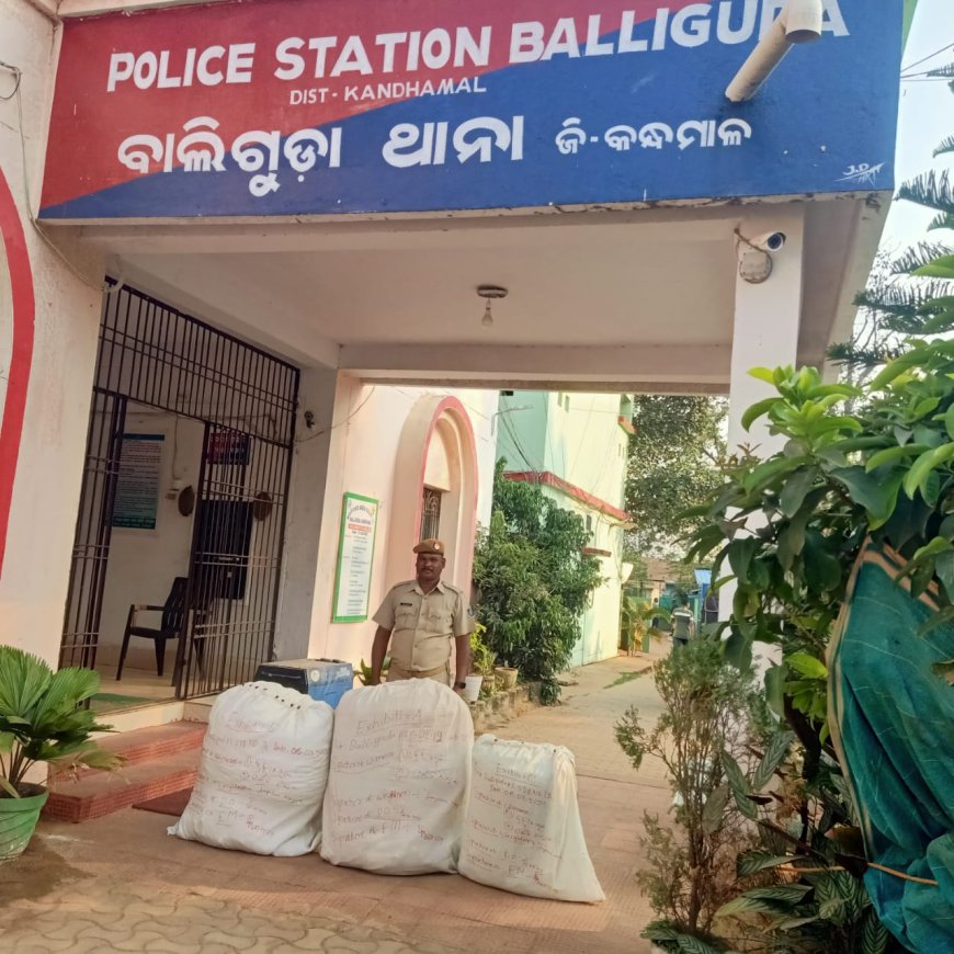 ।। ଚାଲାଣ ପାଇଁ ପ୍ରସ୍ତୁତି ବେଳେ ମାଡି ବସିଲା ପୁଲିସ ; ଗଞ୍ଜେଇ ଜବତ: ଚାଲାଣ କାରୀ ଫେରାର ।।