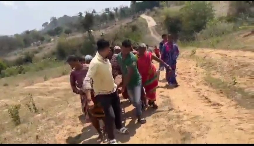 ।। ରାଜ୍ୟ ସରକାର ଖାଲି ବିକାସ ନାରେ ଡିମ ଡିମା,ପିଟୁଛନ୍ତି, ଗର୍ଭବତୀ ମହିଳା ଙ୍କୁ ବୁହା ହେଲା,୨ - କିଲୋମିଟର,ପୁଣି ଜନନୀ ଯନ୍ତ୍ରଣା
