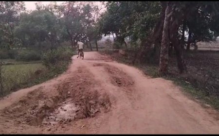 ।। ଗାଁ କୁ ନାହିଁ ଭଲ ରାସ୍ତା ଲୋକେ ହେଉଛନ୍ତି ଅସନ୍ତୋଷ ।।