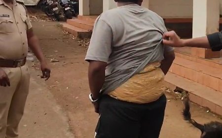 ।। ଫିଲ୍ମ ଷ୍ଟାଇଲ ରେ ଗଂଜେଇ ଚରା ଚାଲାଣ ।।