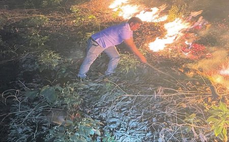 ।। ବାଲିଗୁଡା ବନାଞ୍ଚଳର ବିଭିନ୍ନ ସ୍ଥାନରେ ନିଆଁ: ଗରମ ଓ ଗୁଳୁଗୁଳି ଦ୍ବିଗୁଣିତ ହୋଇଗଲାଣି ।।