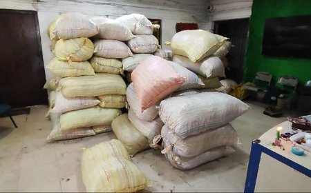 ।। ୪ କୋଟି ଟଙ୍କାର ବେଆଇନ୍ ଗଞ୍ଜେଇ ସହ ୫ଟି ଦେଶୀ ବନ୍ଧୁକ ଜବତ ।।