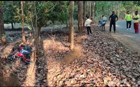 ।।ମୁଖ୍ୟ ରାସ୍ତା ସାହୁ ଜଙ୍ଗଲ ନିକଟରେ ବାଇକ୍ ଦୁର୍ଘଟଣା ରେ ଜଣେ ମୃତ ଜଣେ ଗୁରୁତର ।