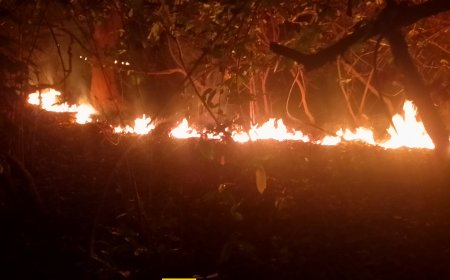 ।। ଟାଙ୍ଗେନ ଡ଼ଙ୍ଗର ରେ ନିଆଁ ହୁତୁ ହୁତୁ ହୋଇ ଜଙ୍ଗଲ ଜଳି ପାଉଁଶ ।।