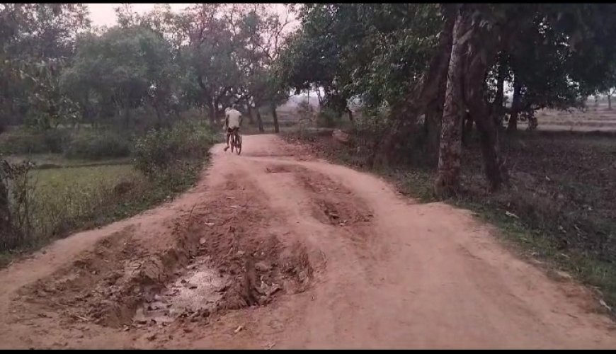 ।। ଗାଁ କୁ ନାହିଁ ଭଲ ରାସ୍ତା ଲୋକେ ହେଉଛନ୍ତି ଅସନ୍ତୋଷ ।।