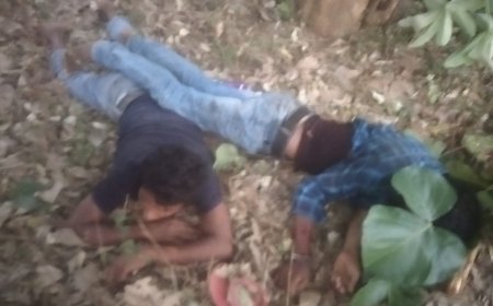 ।। ଭବାନୀପାଟଣା ଠାରୁ ରାଚୁଗୁଡ଼ା ଯିବା ସମୟରେ କିଟ୍ ପଦର୍ ରାସ୍ତା ରେ ଦୁର୍ଘଟଣା ।।