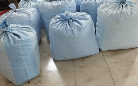 ।। ୫୦ ଲକ୍ଷ ଟଙ୍କାର ଗଚ୍ଛିତ ଗଂଜେଇ ଜବତ:ମାଫିଆ ଫେରାର ।।