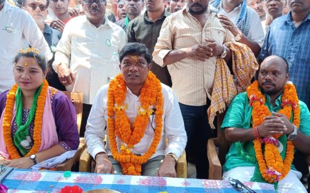 ।। ବନ୍ଧୁଗାଁ ବିଜେଡି ଦଳର ଆଜି ଜର୍ ଦାର୍ ପ୍ରଚାର୍ ।।