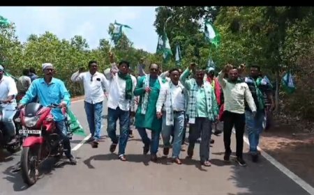 ବିଜେଡି ଦଳର ଆଜି ଜର ଯାର ର ପ୍ରଚାର ଗାଁ ଗୌଉଳିରେ