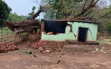 ।।  ଭୂଟ୍ରିଗୁଡ଼ାରେ ତାଣ୍ଡବ ରଚିଲା କାଳବୈଶାଖି, ଘରଛାତ ଉପରେ ପଡିଲା ବିଶାଳ ଗଛ ।।