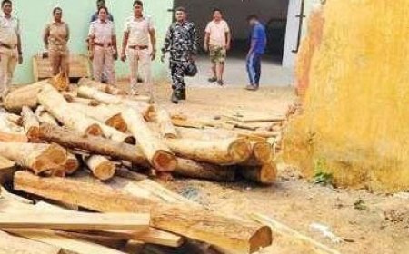 ଲକ୍ଷାଧିକ ଟଙ୍କାର  ଶାଗୁଆନ କାଠ ଜବତ ଅଭିଯୁକ୍ତ ଙ୍କୁ କୋର୍ଟ ଚାଲାଣ