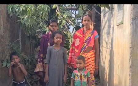 ।।  ଅଦିନିଆ ବର୍ଷାରେ ଘର ଉପରେ ଗଛ ପଡ଼ିଲା, ଅଳ୍ପକେ ବର୍ତ୍ତିଛନ୍ତି ପରିବାର ଲୋକେ ।।