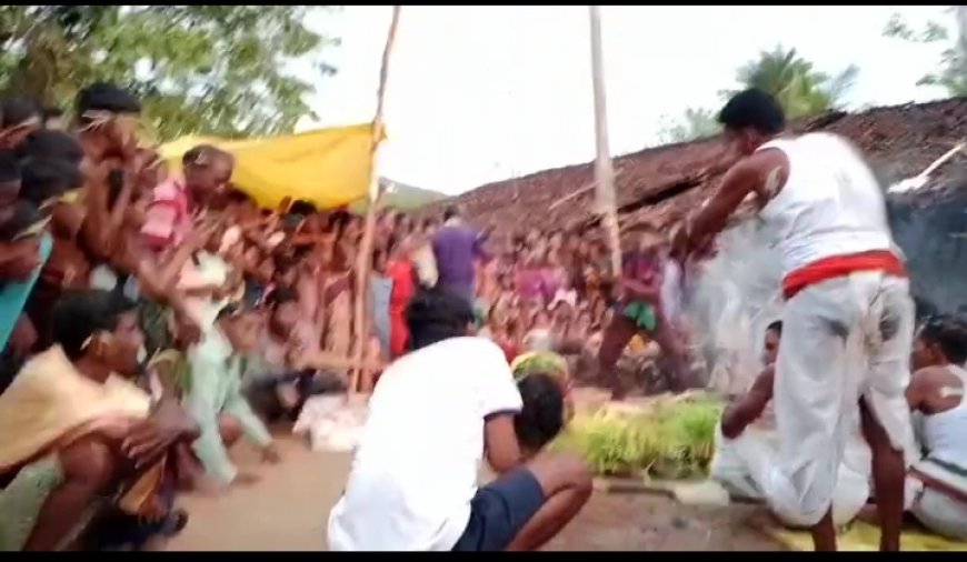 ।। ଟୋକି ମରା ପର୍ବର ପ୍ରଥମ ପର୍ବ ବାଲିଯାତ୍ରା ଅନୁଷ୍ଠିତ ।।