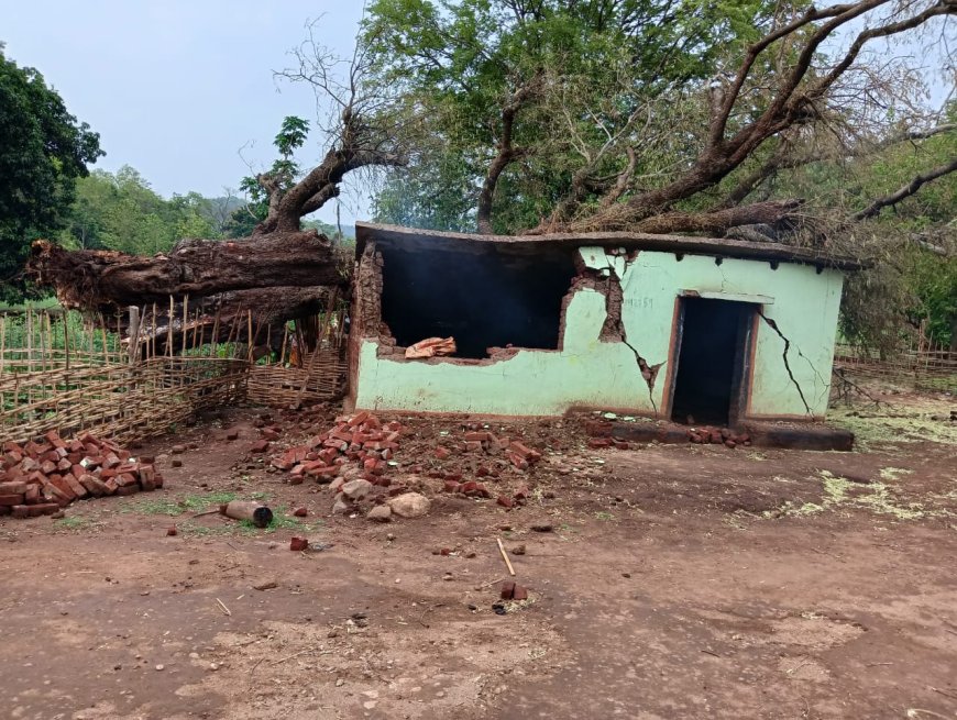 ।। ଭୂଟ୍ରିଗୁଡ଼ାରେ ତାଣ୍ଡବ ରଚିଲା କାଳବୈଶାଖି, ଘରଛାତ ଉପରେ ପଡିଲା ବିଶାଳ ଗଛ ।।