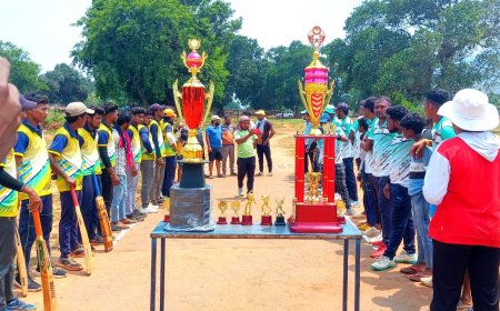 ଡି.ପି.ଏଲ.ସିସନ୍ ଟୁ କ୍ରିକେଟ ଟୁର୍ଣ୍ଣାମେଣ୍ଟ ଉଦଯାପିତ