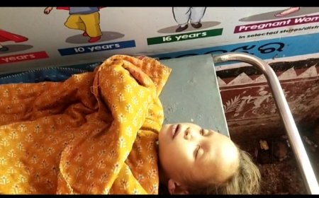 ।। ମାମୁଁ ଘରକୁ ଆସି ନାବାଳିକା ସାପ କାମୁଡାରେ ମୃତ୍ୟୁ ।।