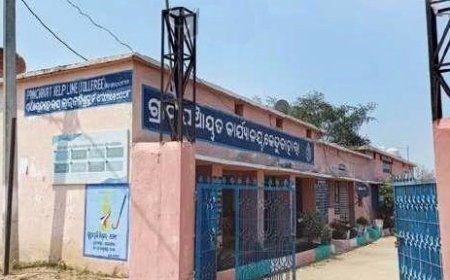 କେନ୍ଦୁବାହାରା ପଞ୍ଚାୟତରେ ମୋବାଇଲ ସେବା ଅପହଞ୍ଚ  ଲାଗିଛି ଟାୱାର ହେଲେ ପାଉନି ନେଟୱର୍କ